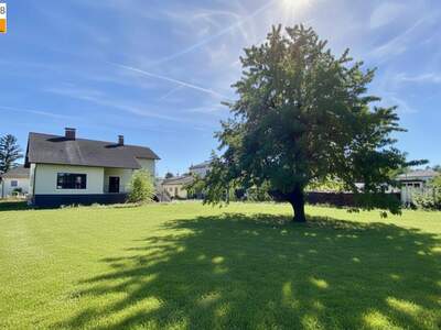 Haus kaufen in 2433 Margarethen