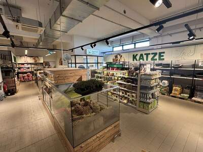 Anlageobjekt kaufen in 5073 Wals (Bild 4)