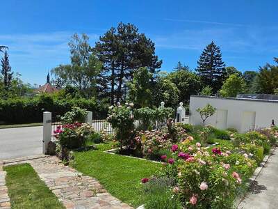 Haus mit Garten kaufen in 2500 Baden (Bild 4)