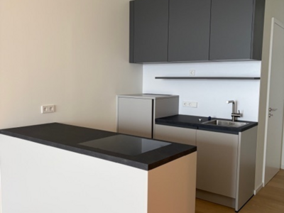 Mietwohnung in 1020 Wien (Bild 1)