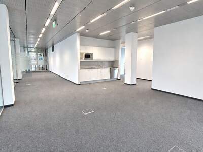 Gewerbeobjekt mieten in 1100 Wien (Bild 2)