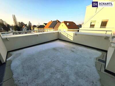 Terrassenwohnung kaufen in 1220 Wien (Bild 3)