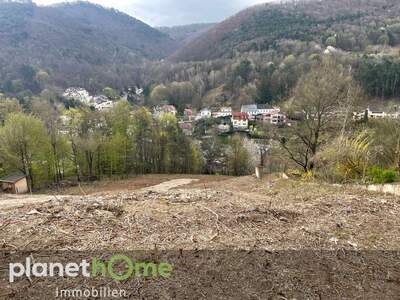 Grundstück kaufen in 2391 Kaltenleutgeben (Bild 5)