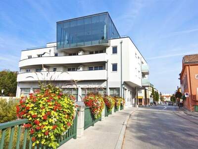 Terrassenwohnung mieten in 2544 Leobersdorf (Bild 1)