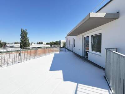 Wohnung mieten in 2700 Wiener Neustadt