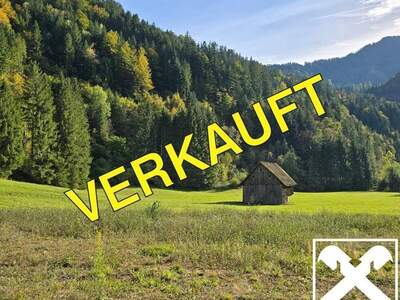 Gewerbeobjekt kaufen in 9135 Ebriach