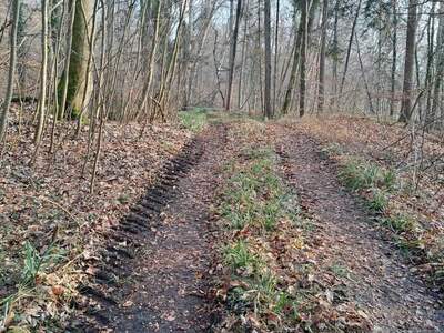 Grundstück kaufen in 5121 Sankt Radegund