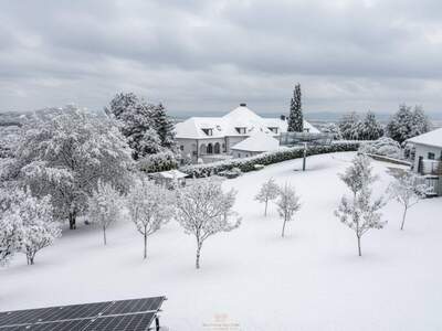Grundstück kaufen in 4221 Steyregg
