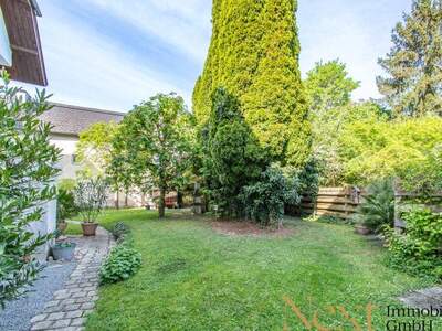 Haus mieten in 4600 Wels (Bild 4)