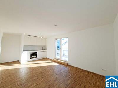 Terrassenwohnung mieten in 1220 Wien (Bild 4)
