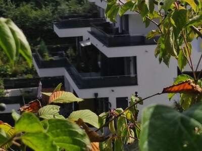 Wohnung mit Balkon kaufen in 6020 Innsbruck (Bild 2)