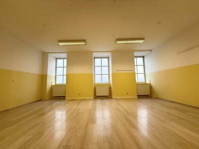 Büro / Praxis mieten in 1080 Wien (Bild 4)