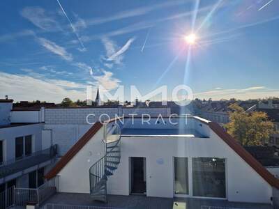 Anlageobjekt kaufen in 2514 Traiskirchen (Bild 5)