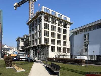 Anlageobjekt kaufen in 4040 Linz