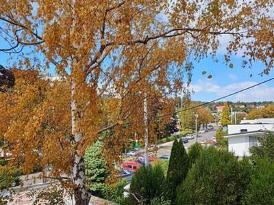 Haus kaufen in 1160 Wien