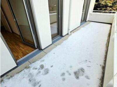 Terrassenwohnung kaufen in 1220 Wien (Bild 3)