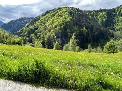 Grundstück kaufen in 8933 St. Gallen