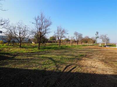 Grundstück kaufen in 7020 Loipersbach