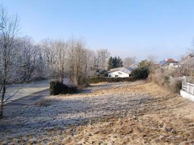 Grundstück kaufen in 4073 Wilhering (Bild 4)