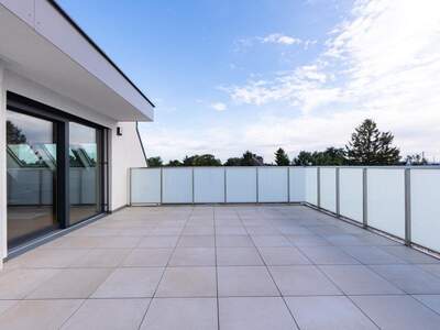Terrassenwohnung kaufen in 1220 Wien (Bild 5)