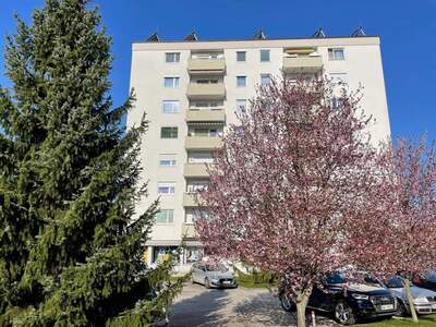 Mietwohnung provisionsfrei in 4663 Laakirchen