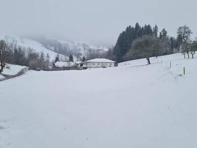 Grundstück kaufen in 3353 Seitenstetten (Bild 1)