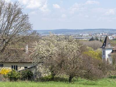 Grundstück kaufen in 3400 Klosterneuburg (Bild 5)