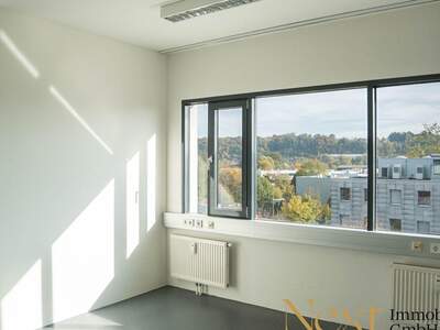 Gewerbeobjekt mieten in 4600 Wels (Bild 3)