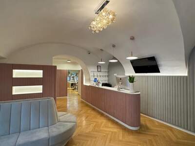 Büro / Praxis mieten in 1010 Wien (Bild 4)