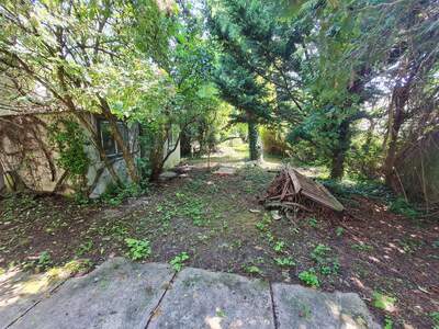 Haus kaufen in 3425 Langenlebarn (Bild 1)