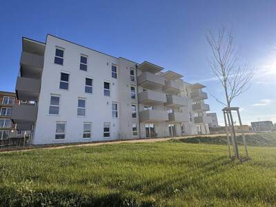 Wohnung mieten in 4232 Hagenberg