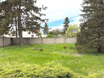 Haus mit Garten kaufen in 2700 Wiener Neustadt (Bild 3)