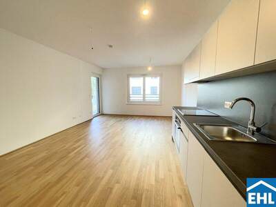 Terrassenwohnung mieten in 1210 Wien (Bild 1)