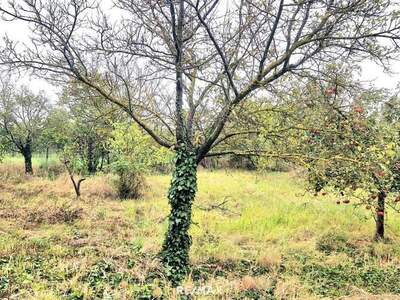 Grundstück kaufen in 7122 Gols