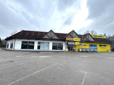 Anlageobjekt kaufen in 4707 Schlüßlberg (Bild 1)