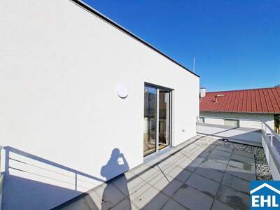 Terrassenwohnung mieten in 1220 Wien (Bild 2)