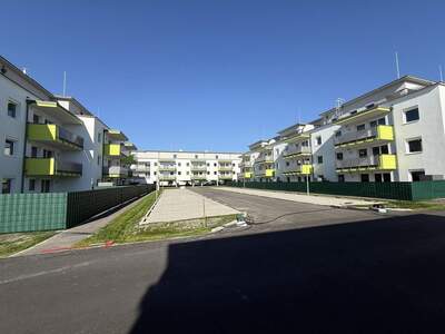Terrassenwohnung kaufen in 2442 Unterwaltersdorf (Bild 4)