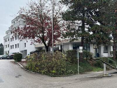 Gewerbeobjekt mieten in 4060 Leonding (Bild 1)