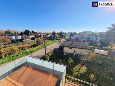 Terrassenwohnung mieten in 1210 Wien (Bild 3)