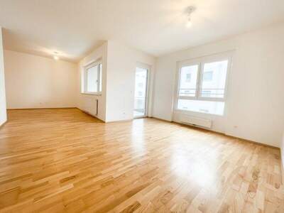 Terrassenwohnung mieten in 3250 Wieselburg (Bild 2)
