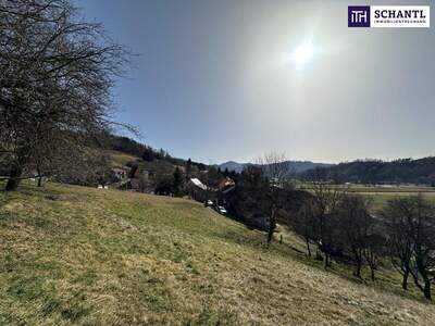 Grundstück kaufen in 8121 Deutschfeistritz (Bild 2)