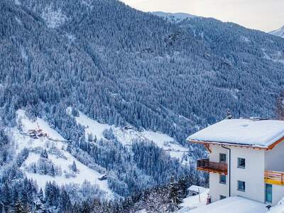 Anlageobjekt kaufen in 6553 See (Bild 2)