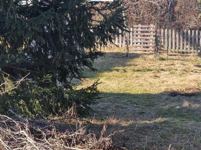 Grundstück kaufen in 2822 Föhrenau (Bild 4)