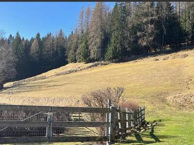 Grundstück kaufen in 9546 Kleinkirchheim
