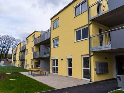 Terrassenwohnung mieten in 2104 Spillern (Bild 5)