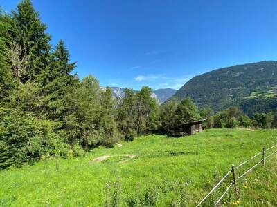 Gewerbeobjekt kaufen in 6432 Sautens (Bild 1)