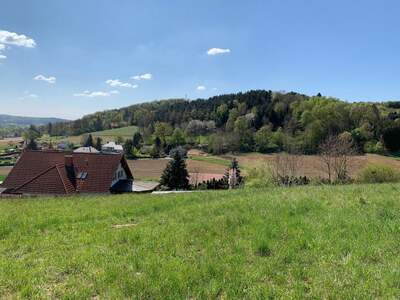 Grundstück kaufen in 7551 Stegersbach (Bild 2)