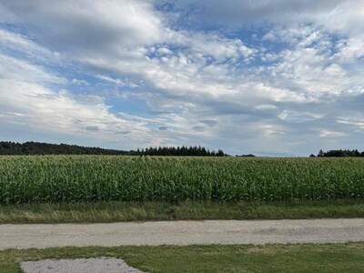 Gewerbeobjekt kaufen in 3041 Großgraben