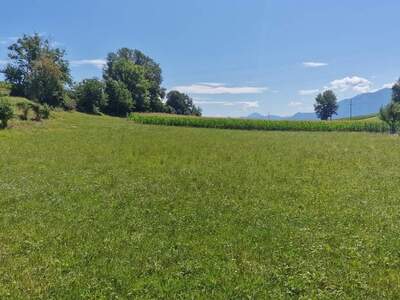 Grundstück kaufen in 9100 Völkermarkt