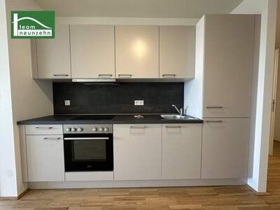 Terrassenwohnung mieten in 1200 Wien (Bild 4)